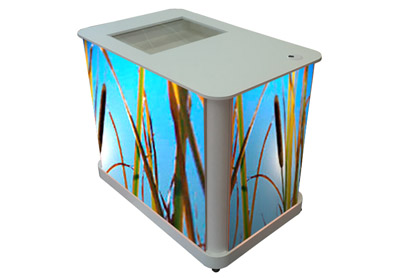 Leuchttheke Schilf mit Vitrinenschublade